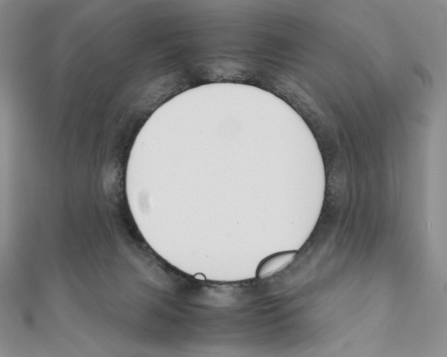 X0000111140079200907281120