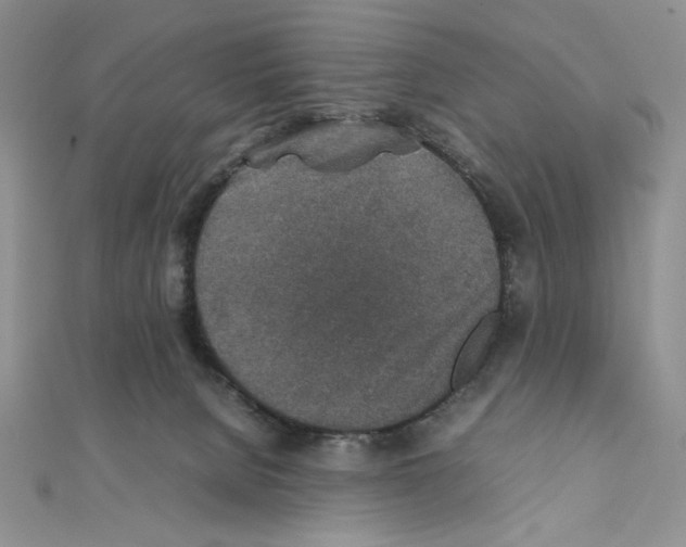 X0000111140080200907281120