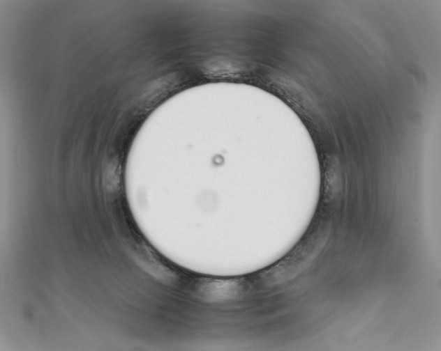 X0000111140081200907281120