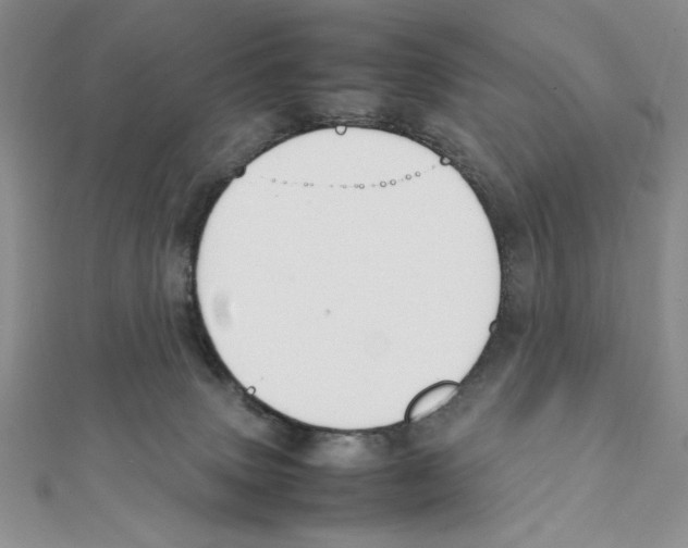 X0000111140083200907281120