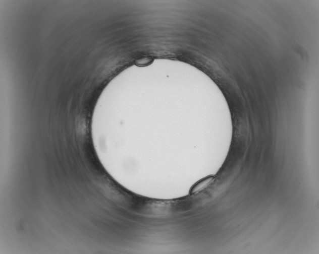 X0000111140084200907281120