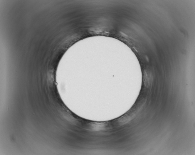 X0000111140085200907281120