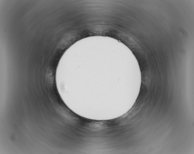 X0000111140086200907281120