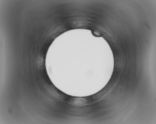 X0000111140087200907281120