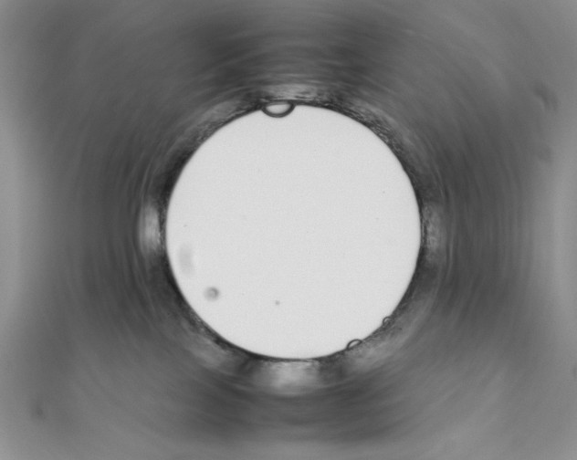 X0000111140089200907281120