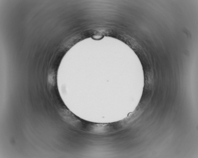 X0000111140090200907281120