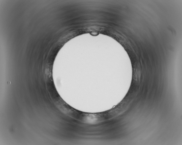 X0000111140091200907281120