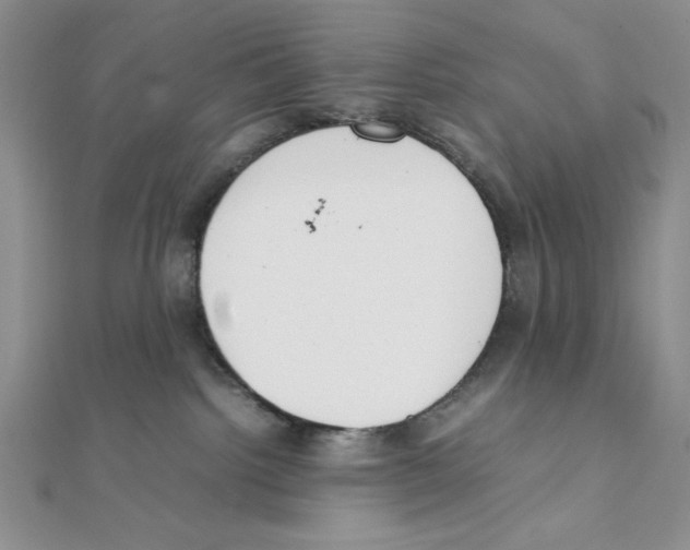 X0000111140092200907281120