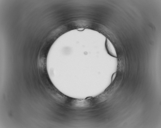 X0000111140093200907281121