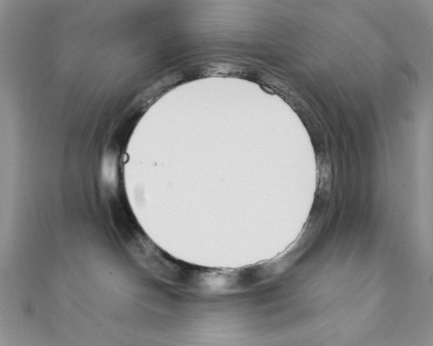 X0000111140094200907281121