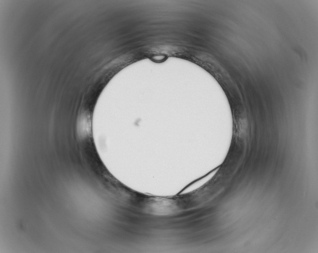 X0000111140095200907281121