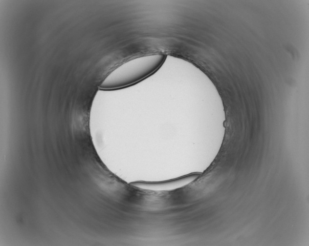 X0000111140096200907281121