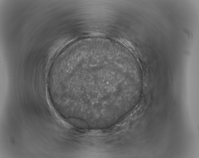 X0000111140097200907281120