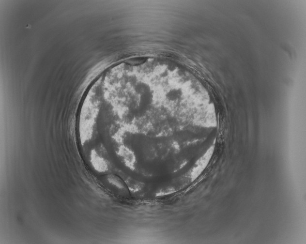 X0000111140099200907281120