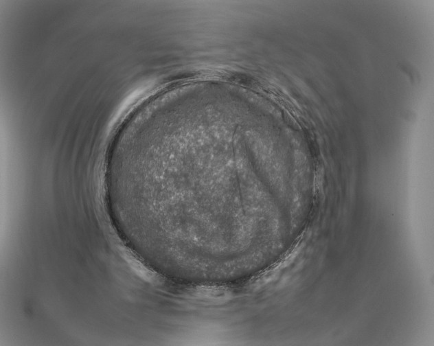 X0000111140101200907281120