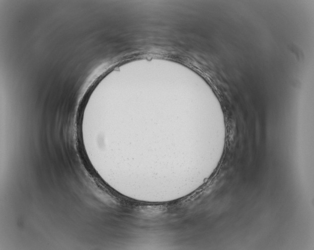 X0000111140102200907281120