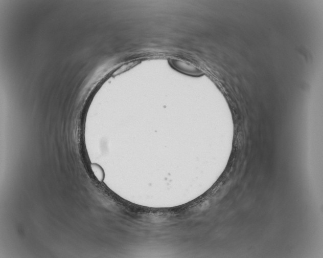 X0000111140103200907281120