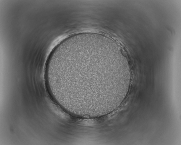 X0000111140104200907281120