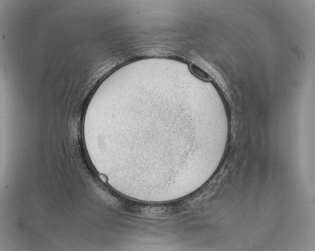 X0000111140105200907281120