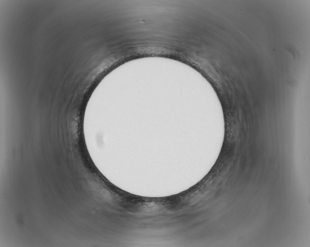 X0000111140111200907281120