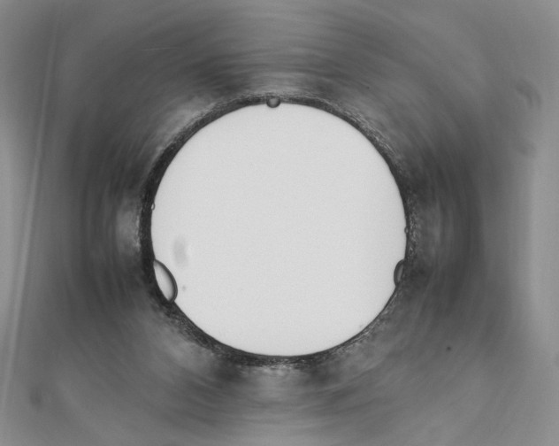 X0000111140112200907281120