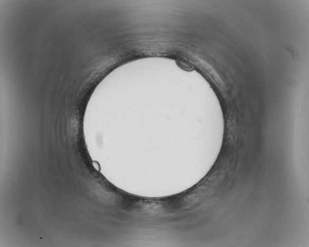 X0000111140113200907281120