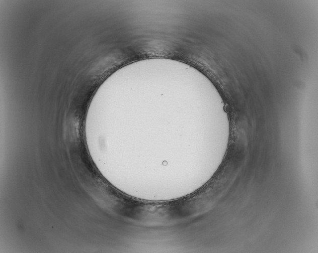 X0000111140117200907281120