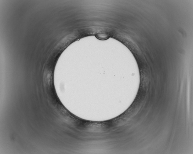 X0000111140123200907281120