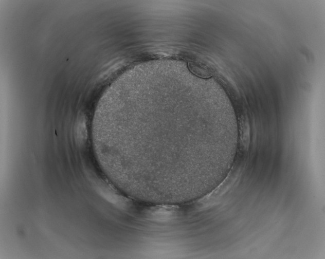 X0000111140128200907281120