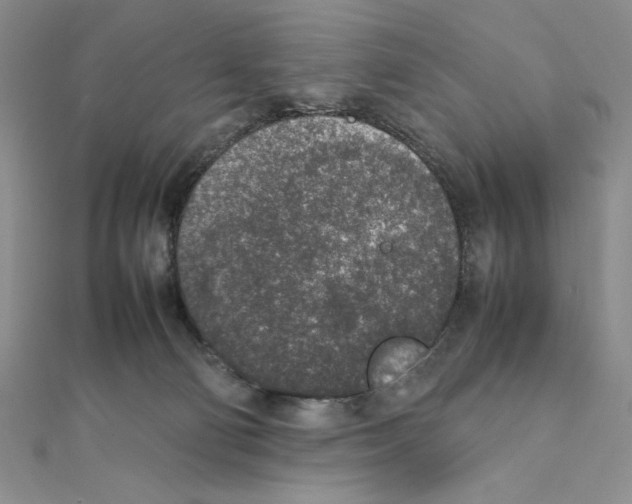 X0000111140130200907281119