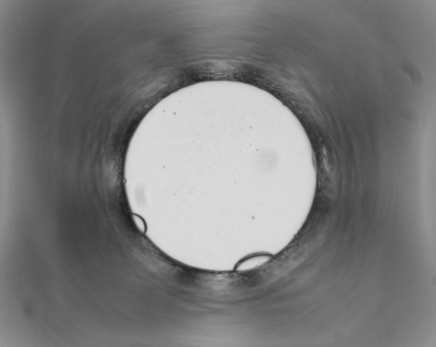 X0000111140131200907281119