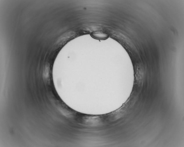 X0000111140132200907281119