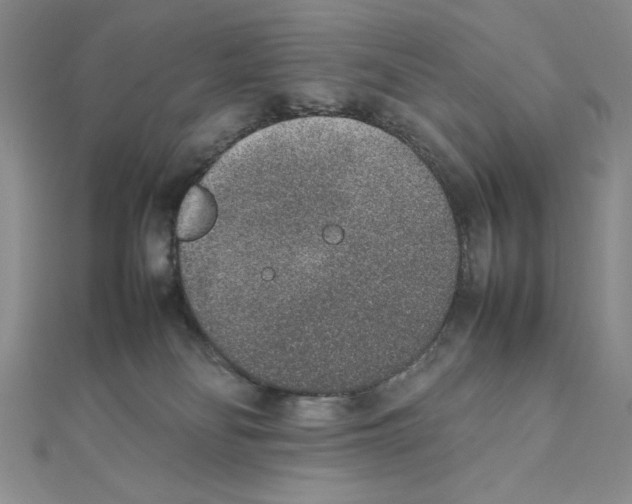 X0000111140134200907281119