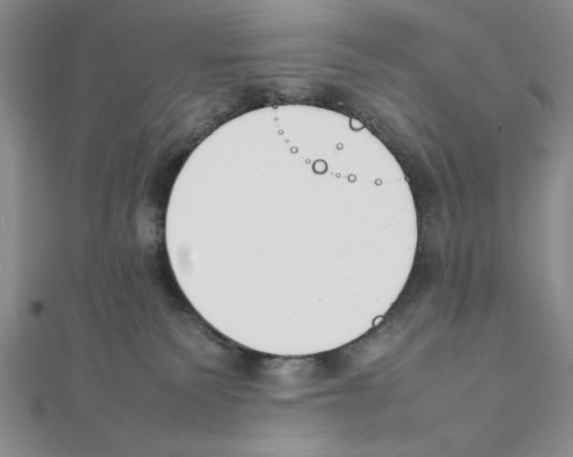 X0000111140135200907281119