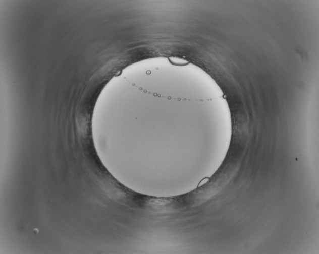 X0000111140139200907281119