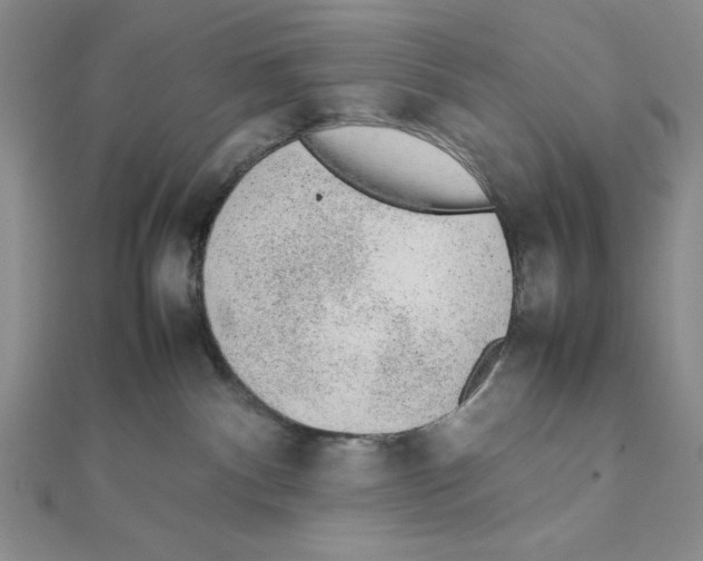 X0000111140140200907281119