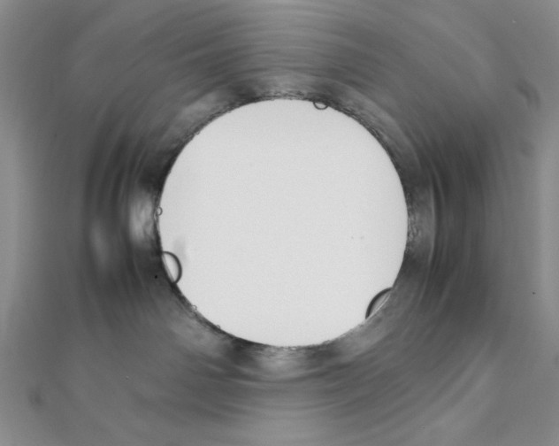 X0000111140142200907281119