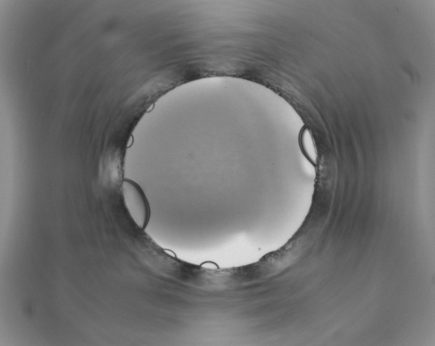 X0000111140143200907281119