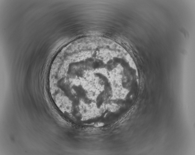 X0000111140145200907281119