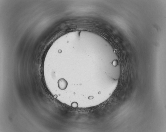 X0000111140146200907281119