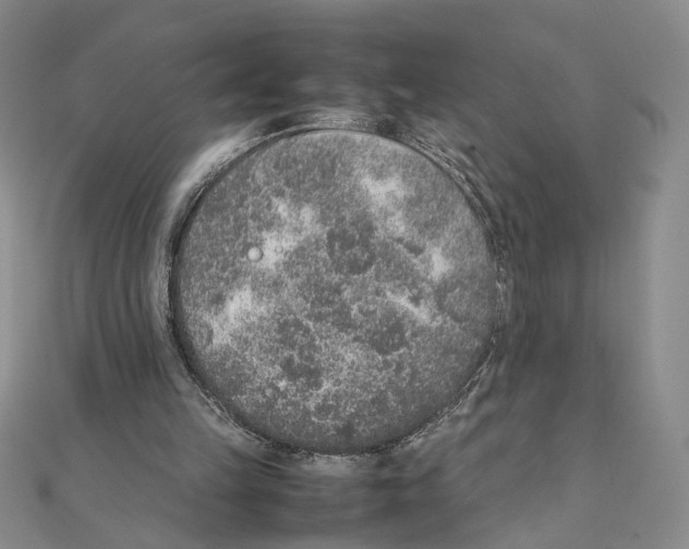 X0000111140149200907281119