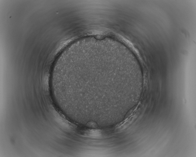 X0000111140154200907281119