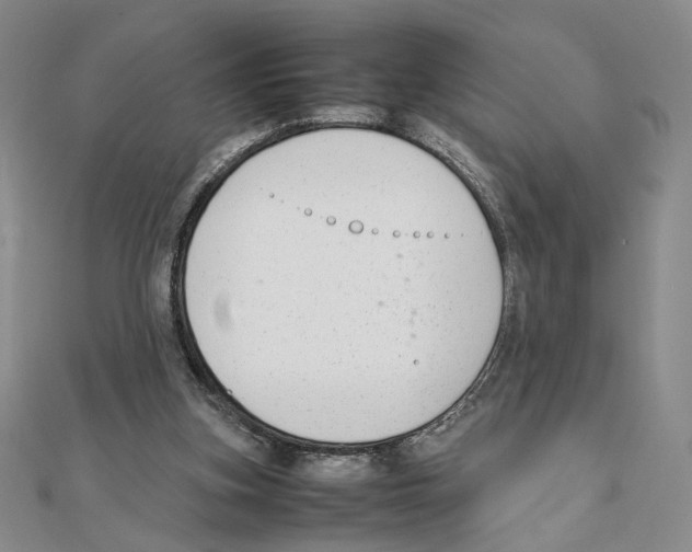 X0000111140155200907281119