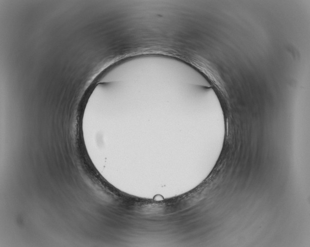 X0000111140156200907281119