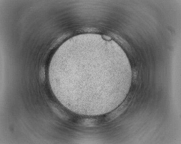 X0000111140158200907281119