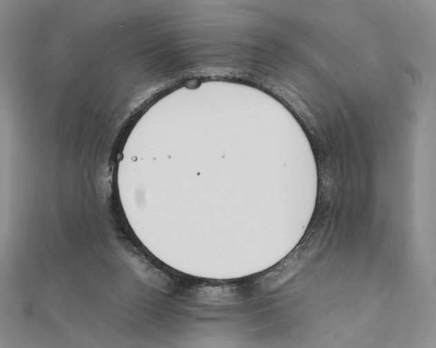 X0000111140160200907281119