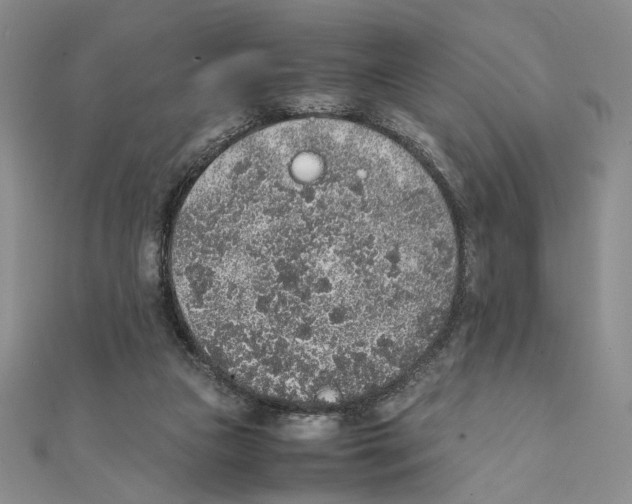 X0000111140161200907281119