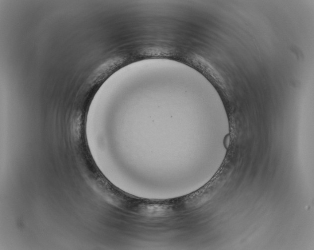 X0000111140163200907281119