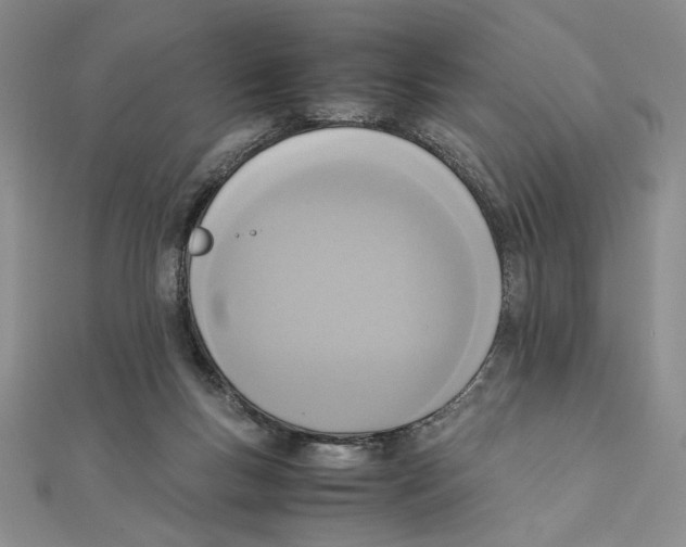 X0000111140167200907281119