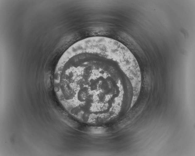 X0000111140169200907281119